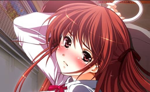 【ADV/AI汉化/CV/全CG存档】痴汉专用车厢 HD重制版【PC/2.73G】